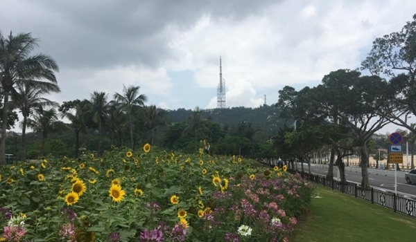 再闷热一天！周日起广东迎中到大雨局部暴雨降水过程