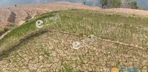 今年湖北气候情况总体偏差 灾害天气早发多发