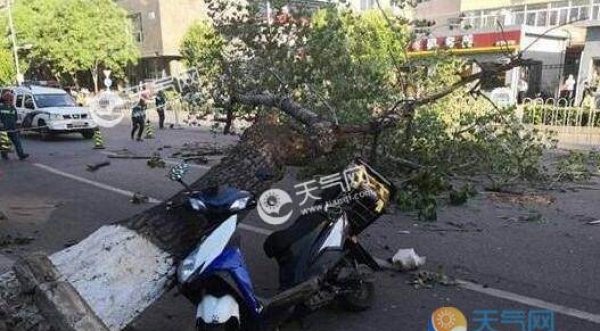 北京继续发布大风蓝色预警 局地最高气温27℃