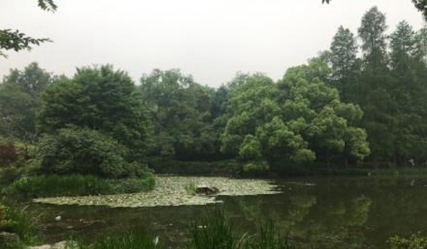 今明天浙江缓慢升温 周四起部分地区超30℃