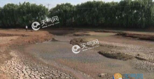 国家气候中心：今年我国局地出现中度至重度气象干旱