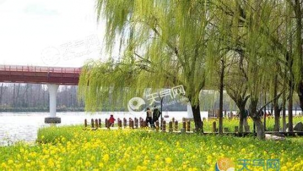小满节气浙江多云转晴 局地气温回升至27℃