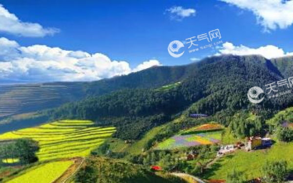 2019端午节西宁天气怎么样 青海西宁端午冷不冷
