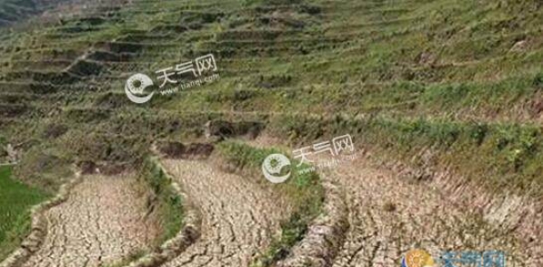 受厄尔尼诺事件影响 东北黄淮等地严重干旱