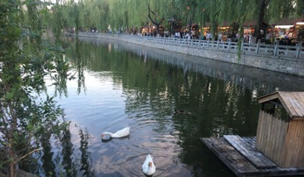 005N2qiTly1g3cgdde2upj33402c01kz_副本.jpg