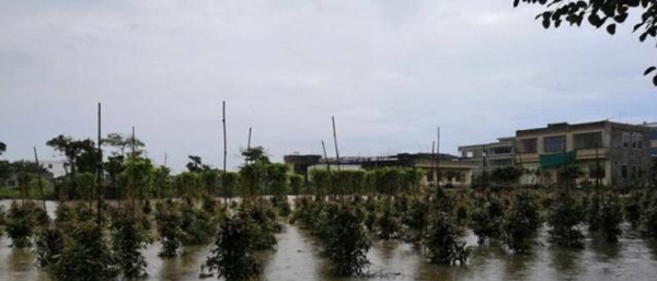 广东今起3天有大范围强降雨 雨水持续到月底