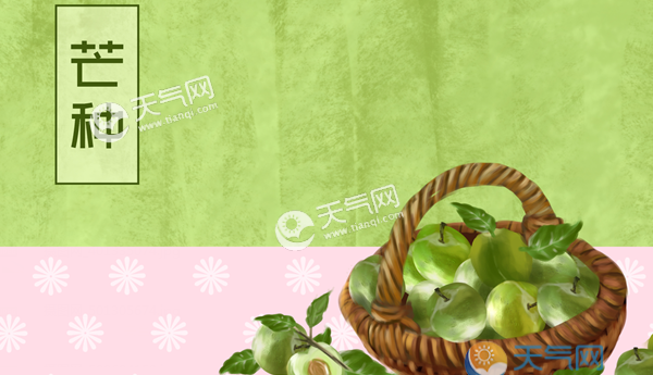 芒种吃什么传统食物 芒种时节四大必吃食物