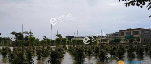广东雨水将持续至本月底 珠三角和粤西雨水最大
