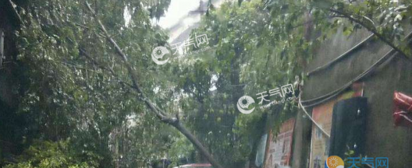 暴雨蓝色预警最新消息2019 海南福建广东成大到暴雨集中区