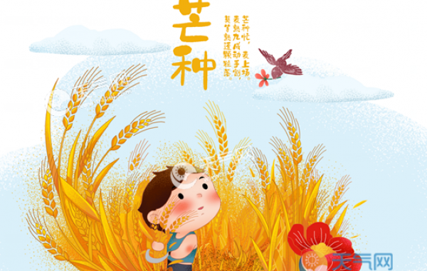 芒种养生短信大全 2019最实用的芒种养生问候语