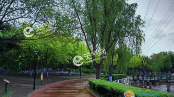 海南今天仍有雷阵雨 北部中部西部大到暴雨