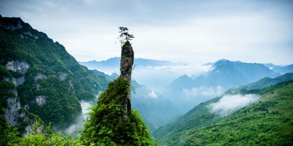 四川万源八台山 佛光星斗共晶莹-图7