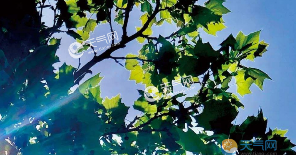 河北六一儿童节天气最新消息 河北六一再现40℃高温