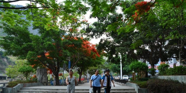 凤凰花开 怒江两岸换花海似火-新闻频道-日常天气网-图3