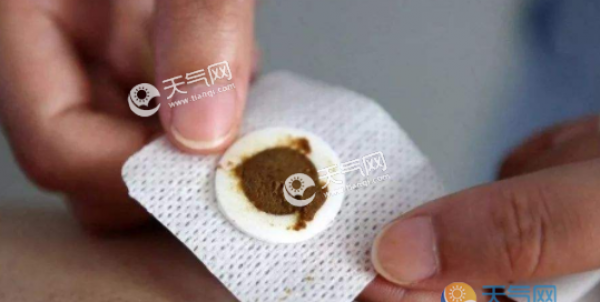 2019三伏天艾贴养生图片 2019三伏天敷三伏贴图片