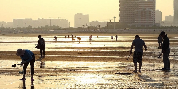 辽宁鲅鱼圈 晨光下游人赶海成夏日别样风景-图1