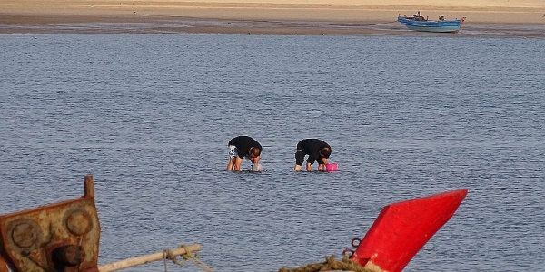 辽宁鲅鱼圈 晨光下游人赶海成夏日别样风景-图3