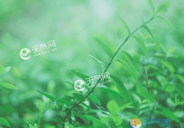 二十四节气小暑的诗句 经典的有关小暑时节的古诗词
