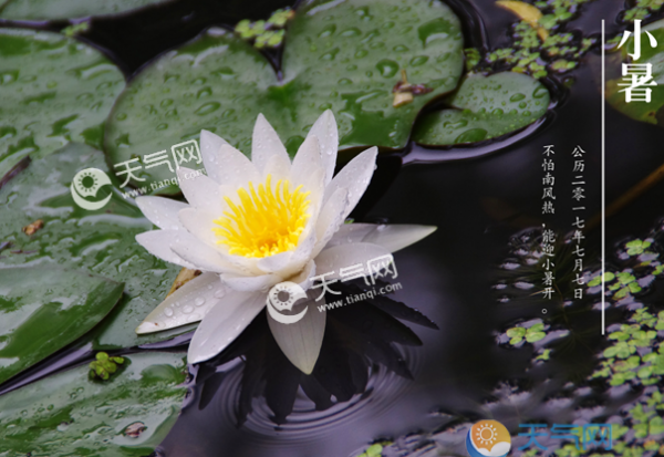 古人小暑节气诗词唯美 8首描写小暑美好景象古诗鉴赏