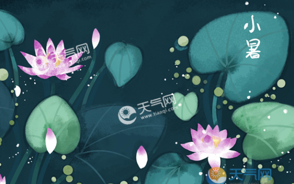 描写小暑节气的诗句 形容小暑时节荷花的诗词赏析