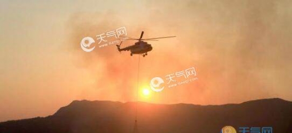 希腊埃维亚岛发生森林火灾 10人送医现场火光四射