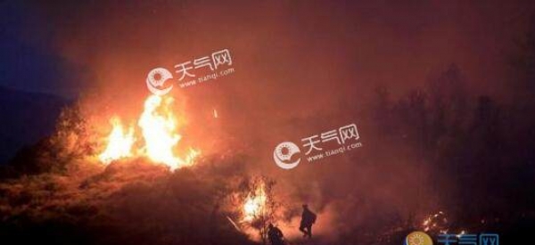希腊埃维亚岛发生森林火灾 10人送医现场火光四射