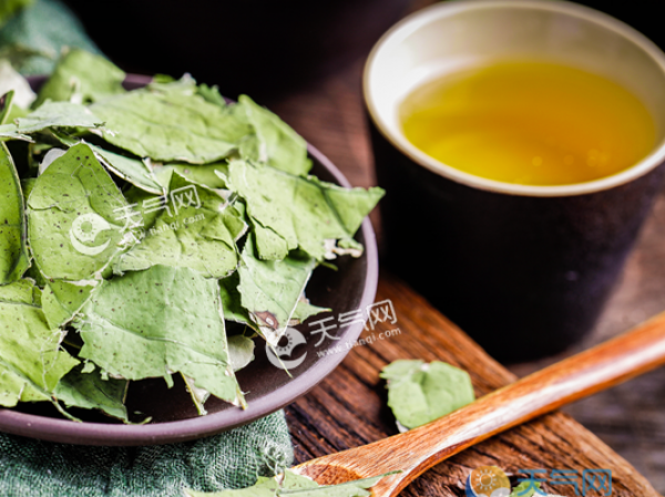 荷叶苦荞茶的功效与作用 荷叶加苦荞茶可以减肥吗