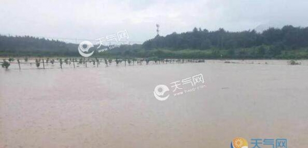 本周广西强降雨继续“霸屏” 桂林柳州等地局部大暴雨