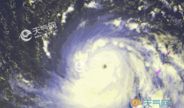 台风是什么气旋 台风是气旋还是反气旋
