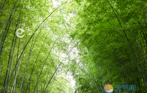 2019大暑节气图片大全 大暑节气宁静唯美景物图集