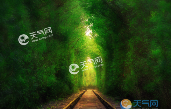 2019大暑节气图片大全 大暑节气宁静唯美景物图集