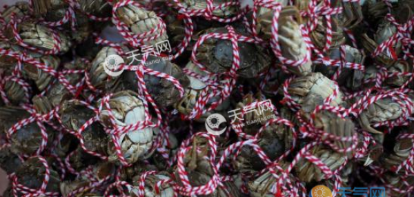 大闸蟹再成美国通缉犯 私自携带罚款1万美金