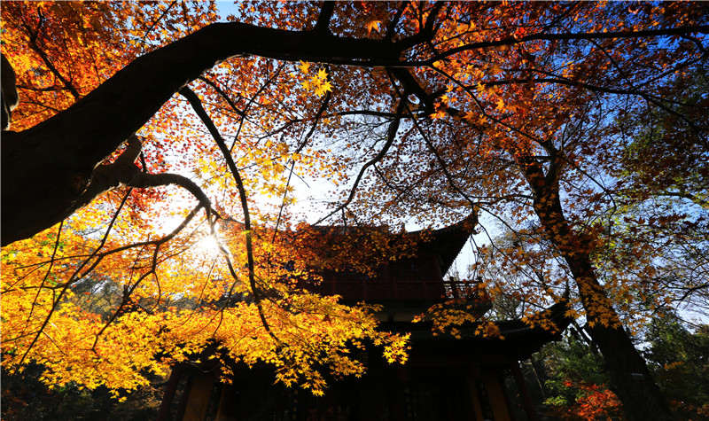 南京市栖霞山风景名胜区