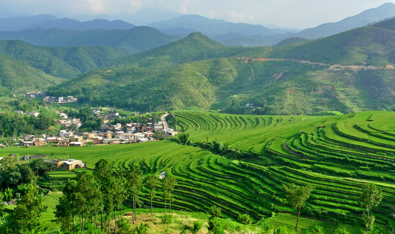 大埔县坪山梯田旅游区