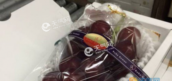 日本高级葡萄一串120万日元 等于你吃一颗葡萄就吃掉3200元人民币