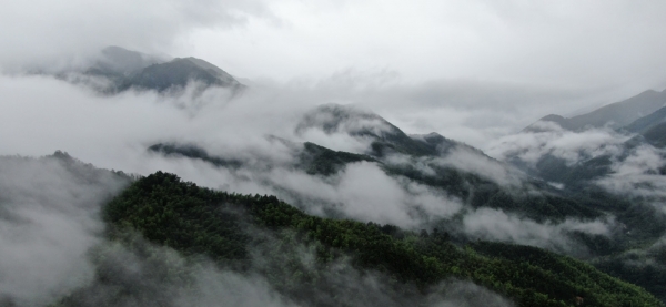 云雾缭绕如仙境 湖南平江县连云山雨后美景-图4