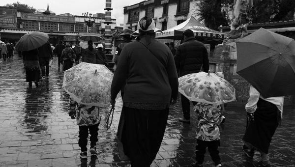 拉萨的雨季  一日如四季-图2