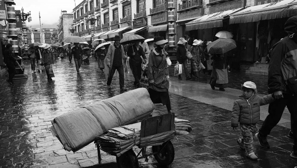 拉萨的雨季  一日如四季-图6