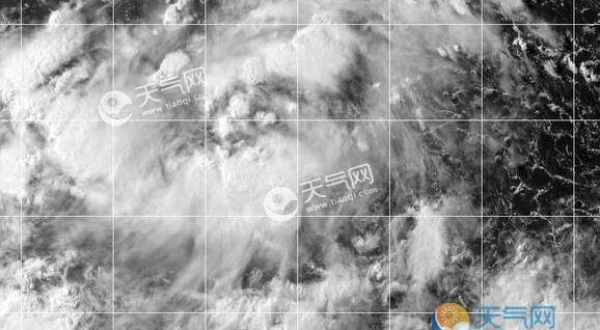 5号台风最新台风情况 台风丹娜丝已经进入48小时警戒线