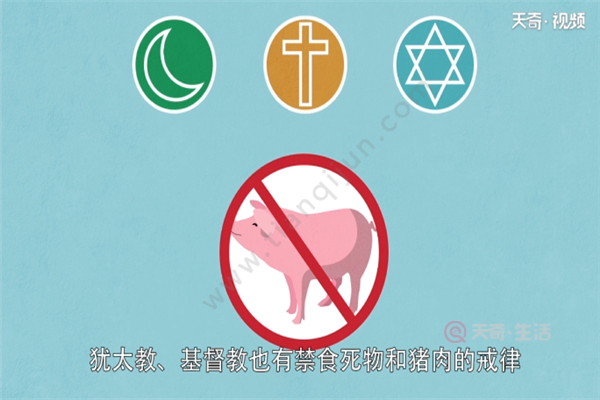 回族为什么不吃猪肉