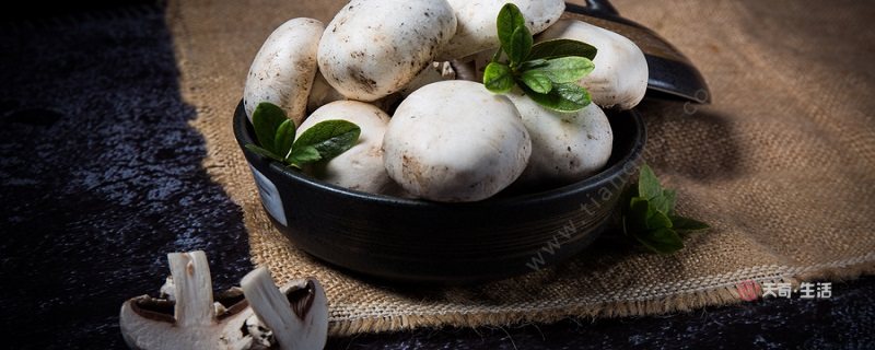 蘑菇是发物吗