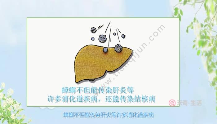 蟑螂的危害  蟑螂的危害有哪些