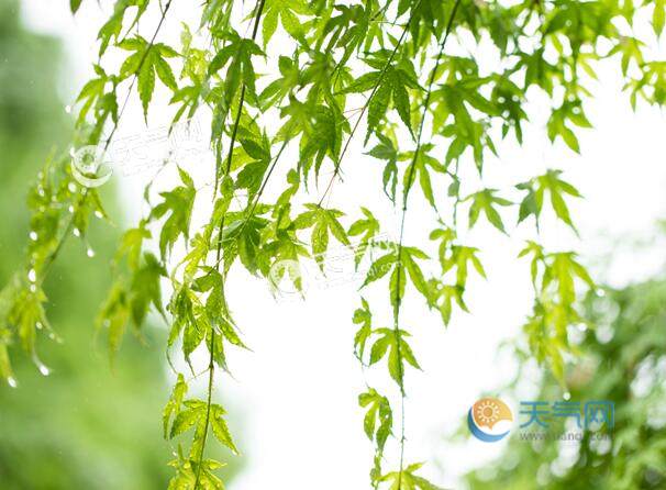 有关雨水节气的诗 描写雨水节气的古诗词集锦