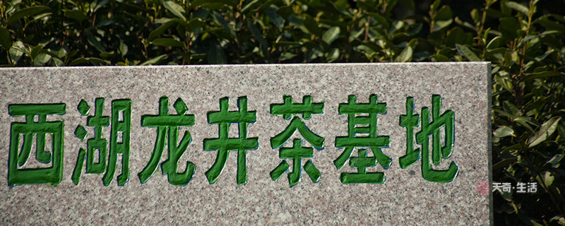 中国有哪些名茶