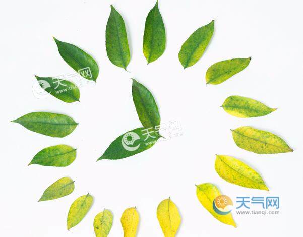 入春的气象学标准是什么 连续多少度算入春