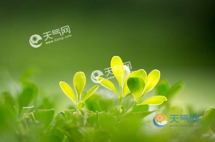 2020入春是什么时候 2020入春的标准是什么