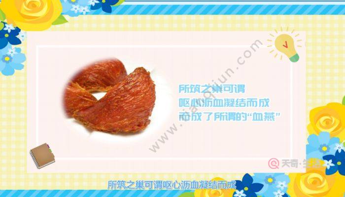 燕窝是怎么形成的  燕窝的形成方式