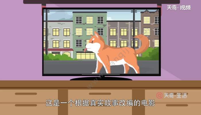 忠犬八公是什么狗 忠犬八公指的是什么犬