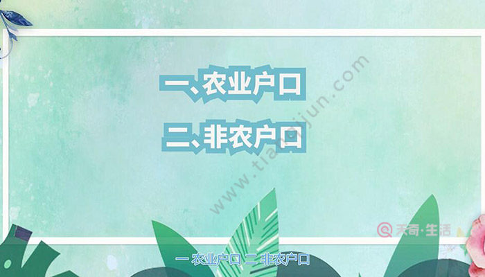 户口性质 户口性质分类