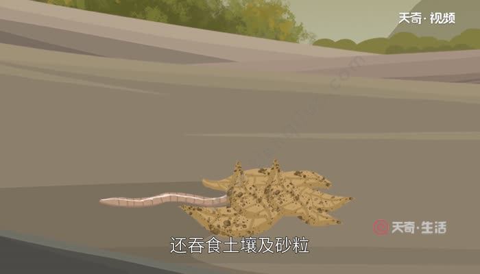 地龙是什么  什么是地龙